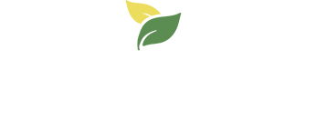 Sky Rocks Trading
